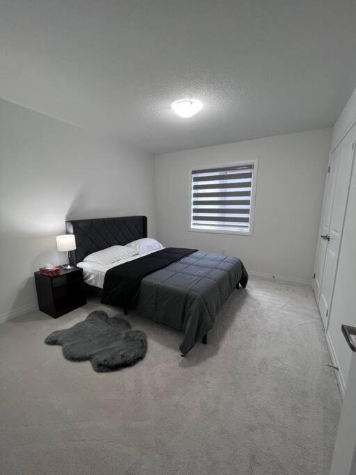 Brand New 4 Bedroom Villa By Hamilton Airport! Экстерьер фото