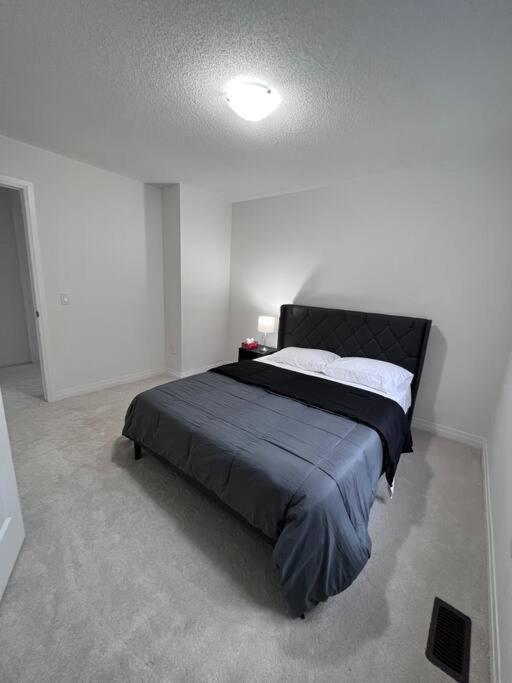 Brand New 4 Bedroom Villa By Hamilton Airport! Экстерьер фото